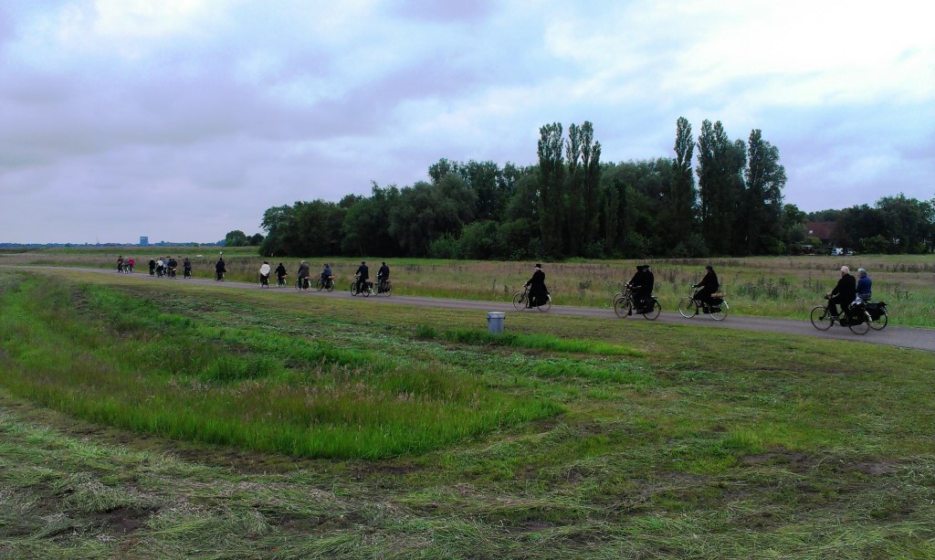 in de Oostpolder.jpg