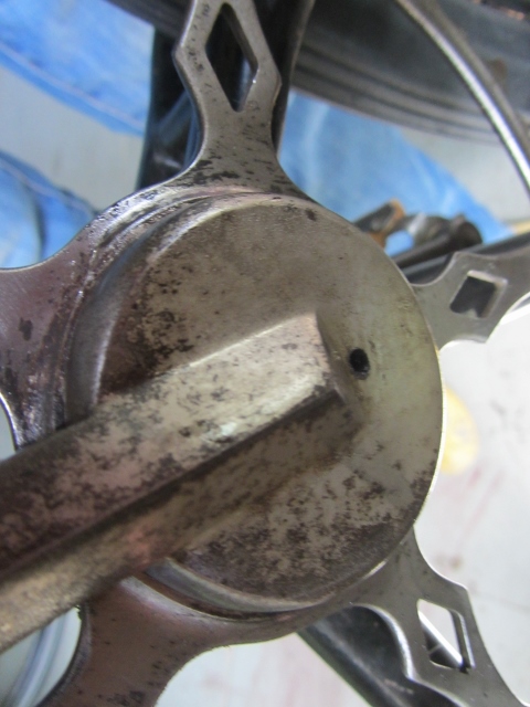 IMG_4454 (480x640).jpg