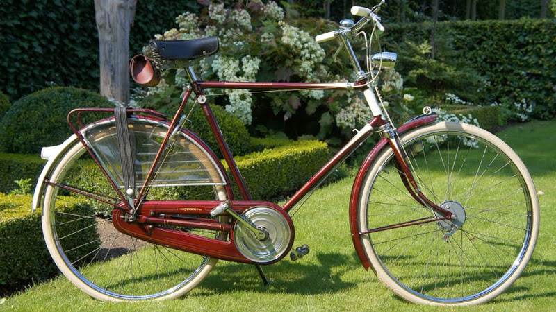 piet pelle fiets sport A.JPG