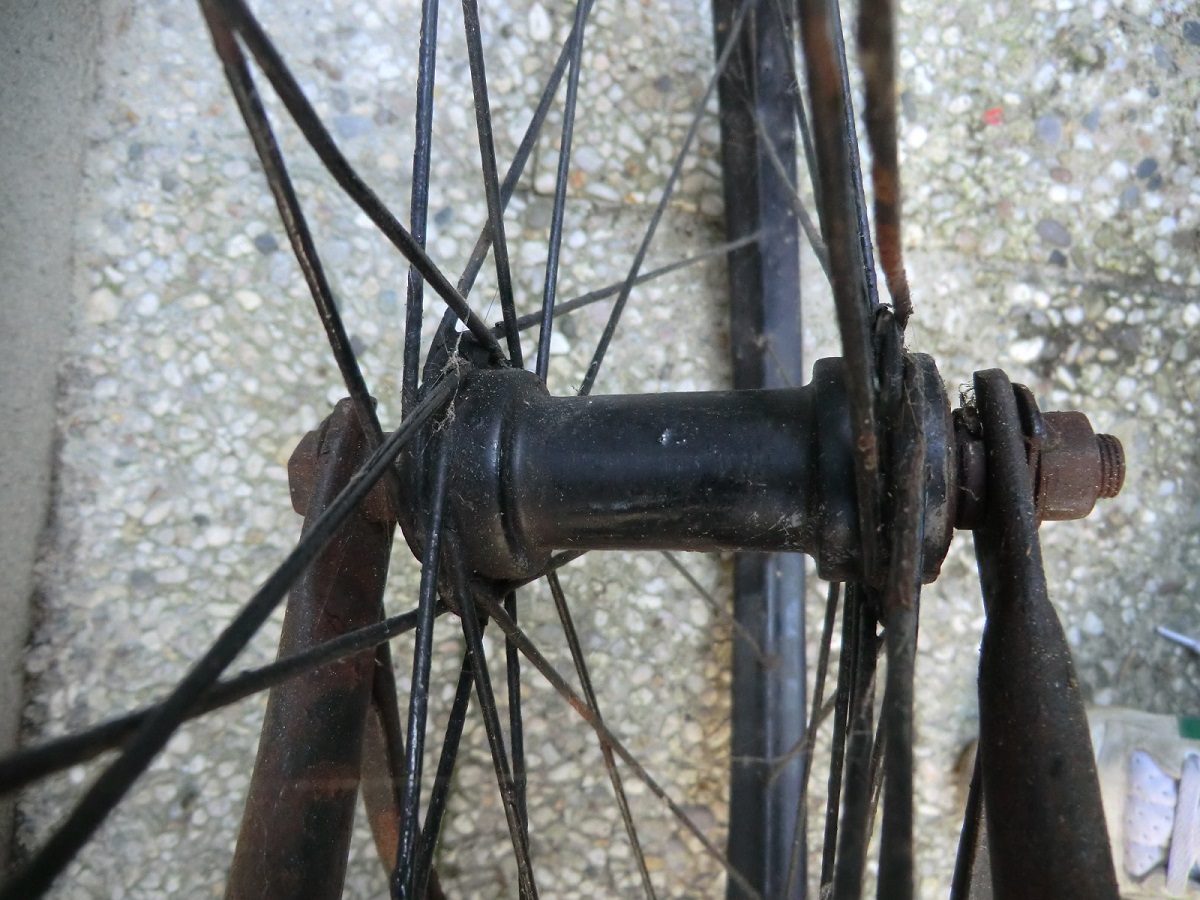 gazelle 1931 (4)a.jpg