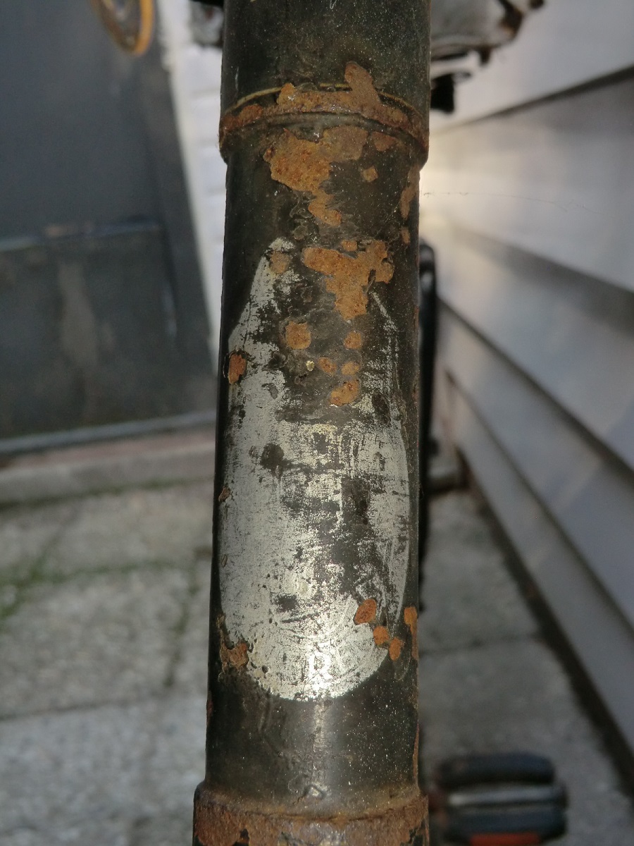 gazelle 1931 (7)a.jpg