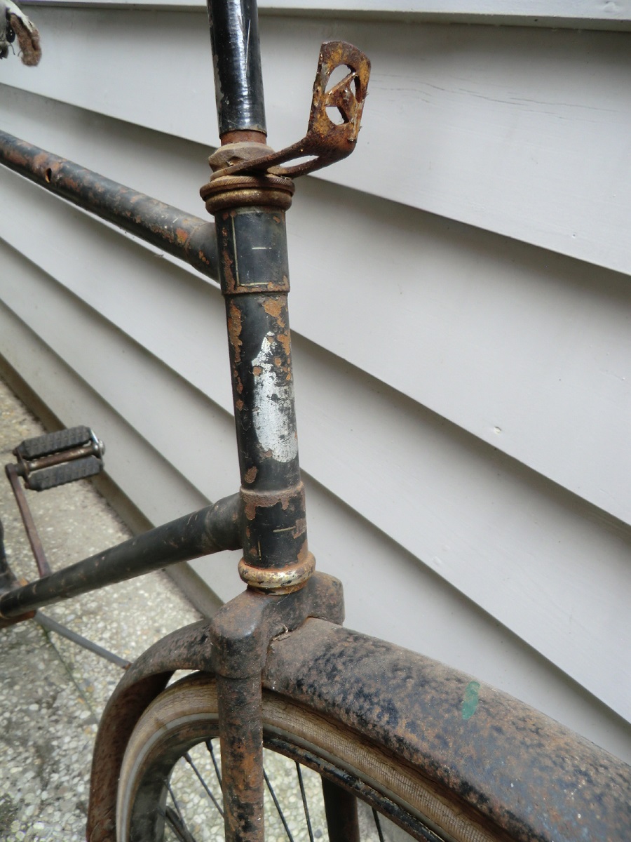 gazelle 1931 (9)a.jpg