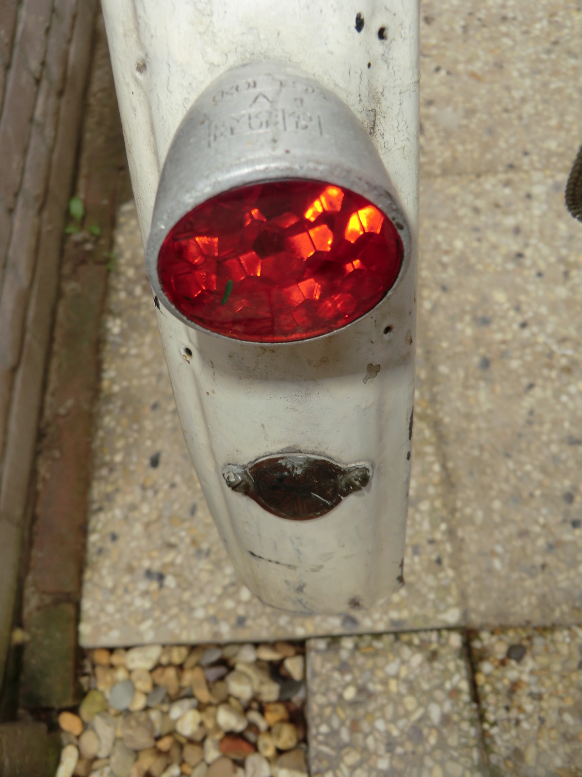 gazelle opoe (6).JPG