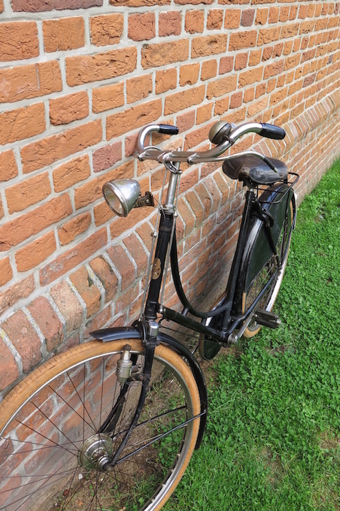 gazelle klaar 2.jpeg