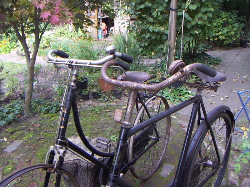 Dames en heren Raleigh