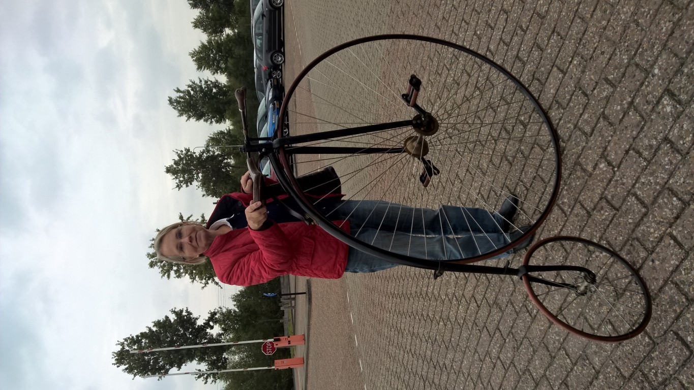 WP_20151014_15_48_27_Pro (Medium).jpg