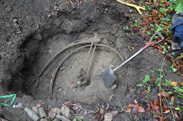 12190912_1192543204093358_2098822114125286752_n_zpsyqaprcll (640x426).jpg