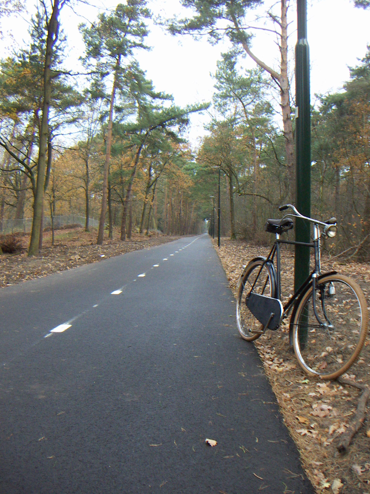 fiets-snelweg