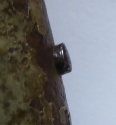 ScreenHunter_03 Dec. 09 20.28.jpg