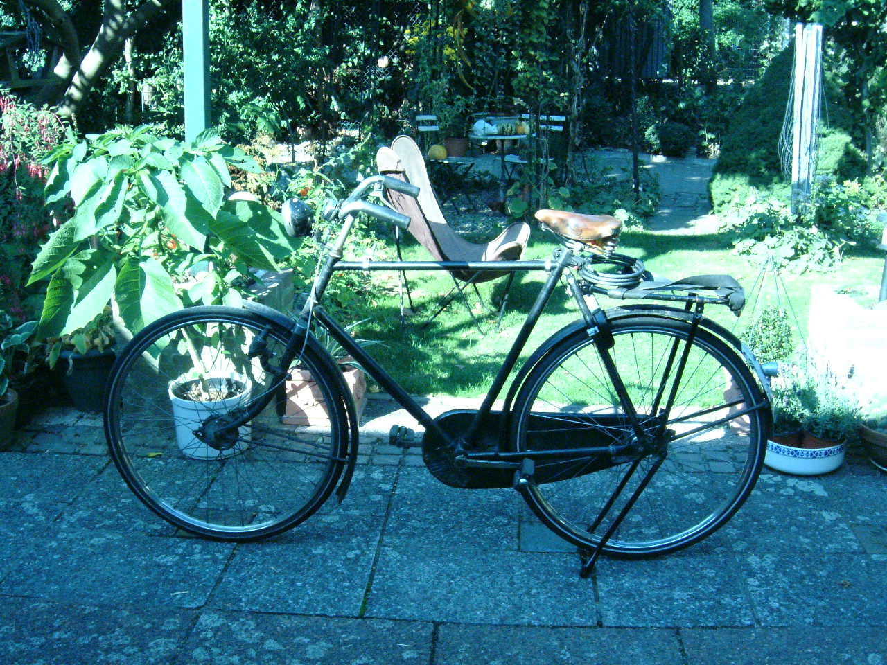 gazelle sjef 1952.JPG