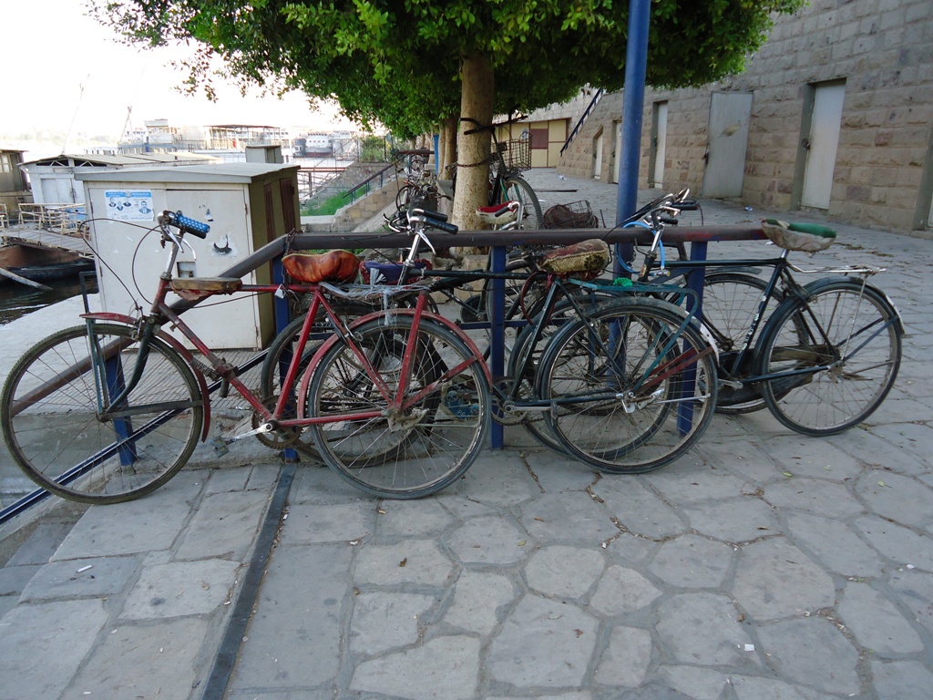 Egypt Bike 03.jpg