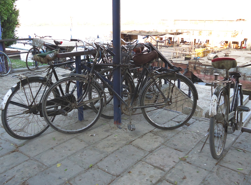 Egypt Bike 04.jpg