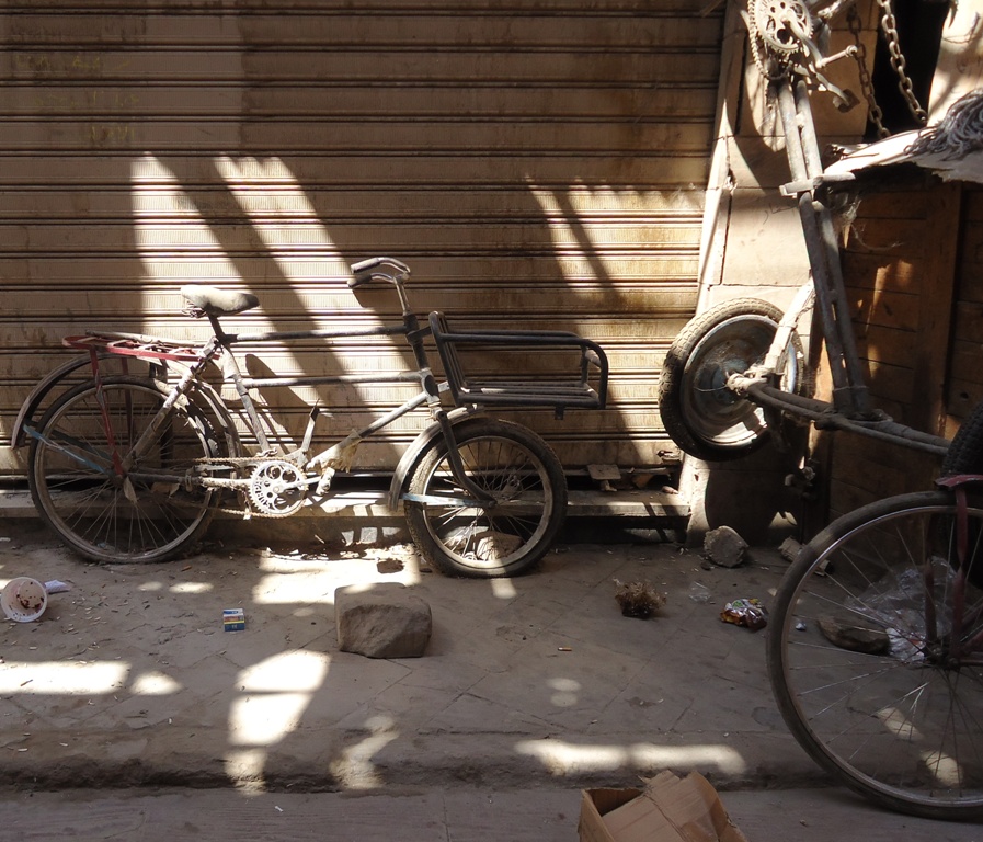 Egypt Bike 05.jpg