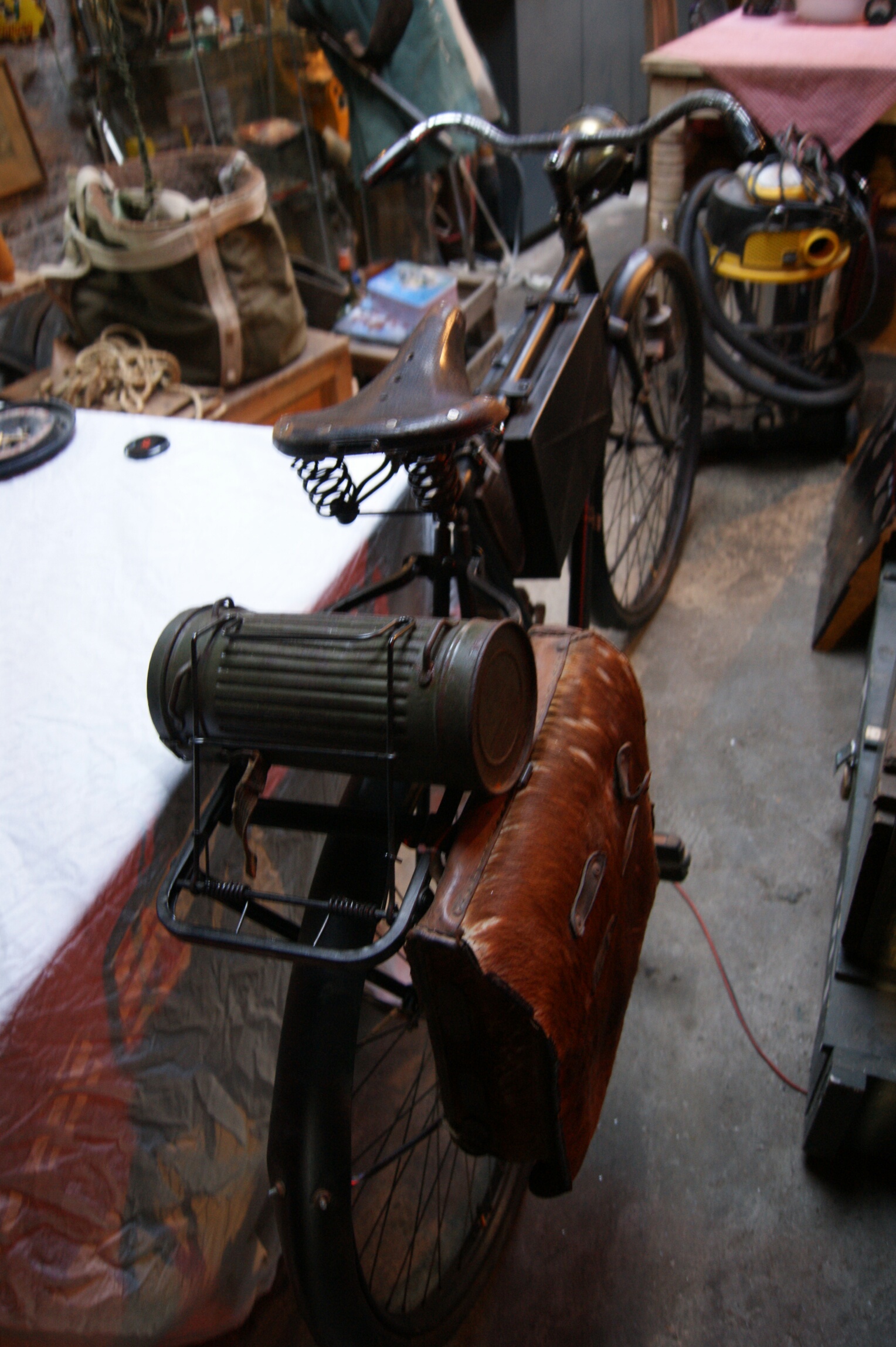 DSC07248_resized (1).JPG