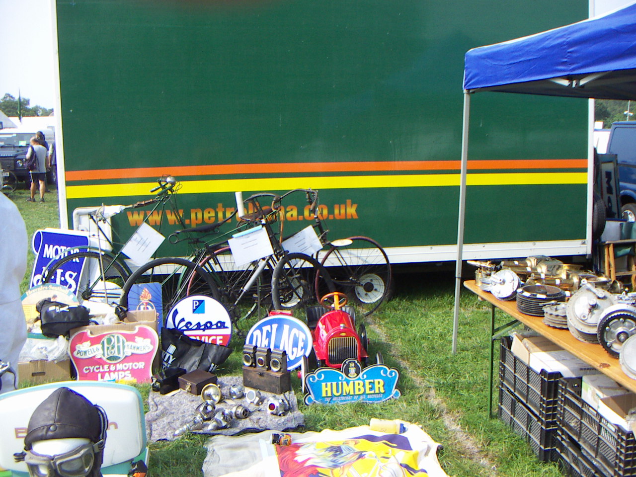 Een Pedersen op het gras tijdens de beaulieu markt