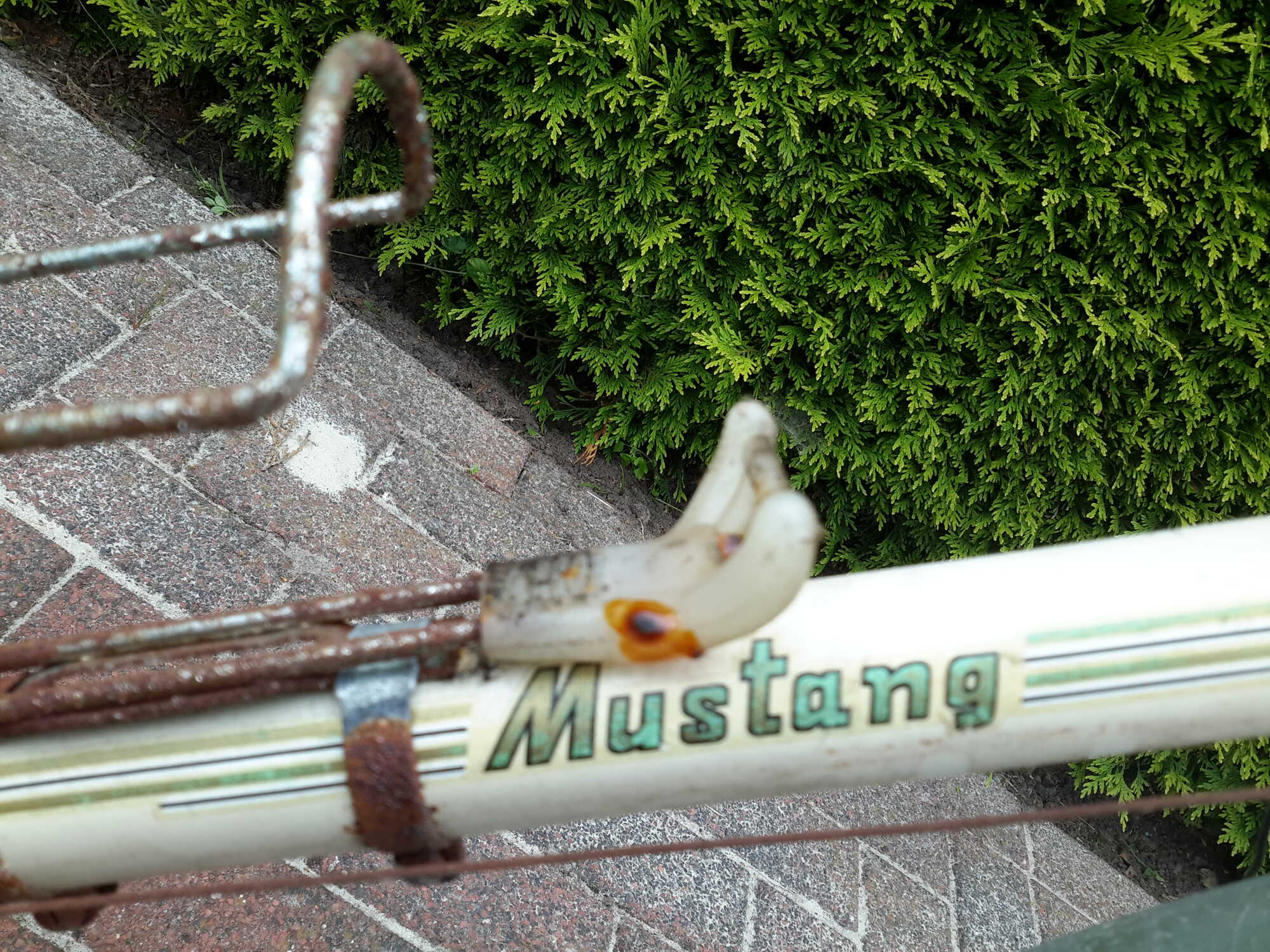 2015-06-14 11.37.25.jpg