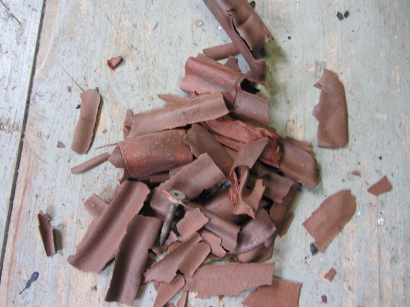 IMG_6237 (800x600).jpg