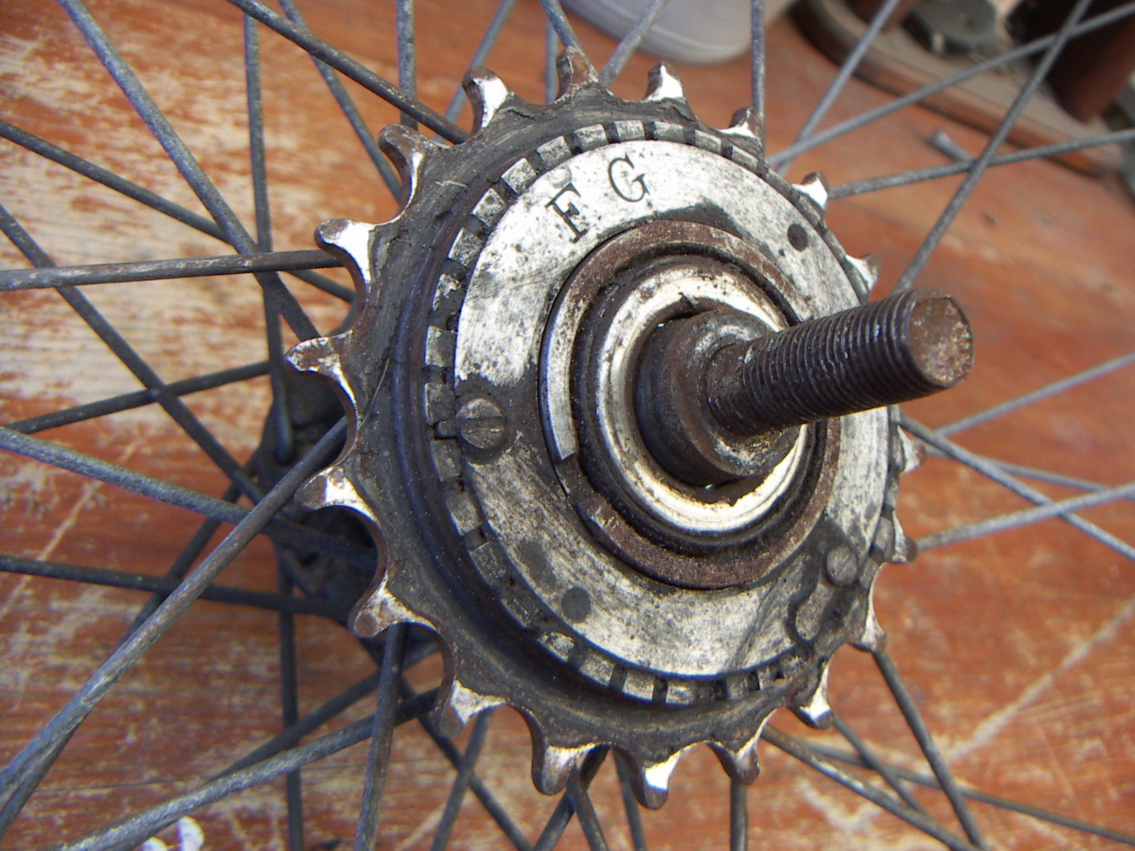 Freewheel 1910 F.G.