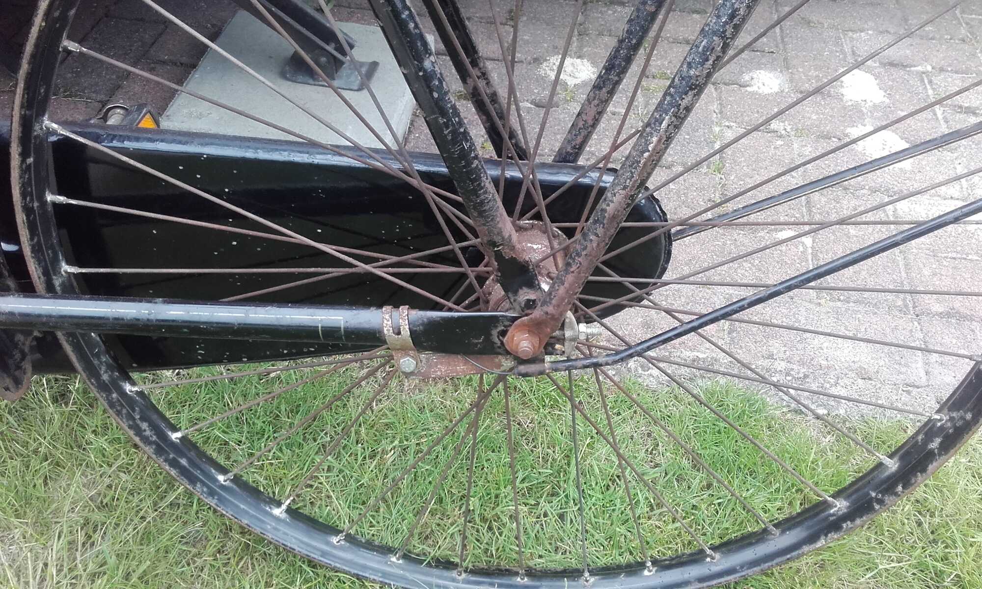 2016-05-29 16.30.41.jpg