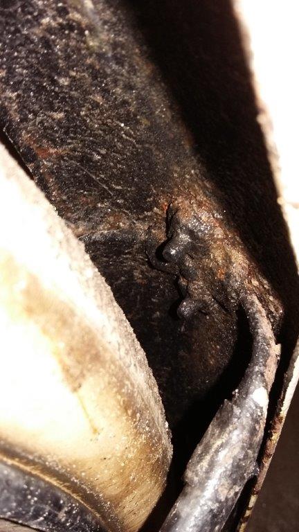 binnenkant achterspartbord