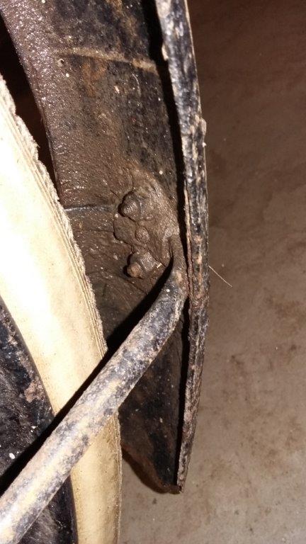 binnenkant voorste spatbord met extra versteviging