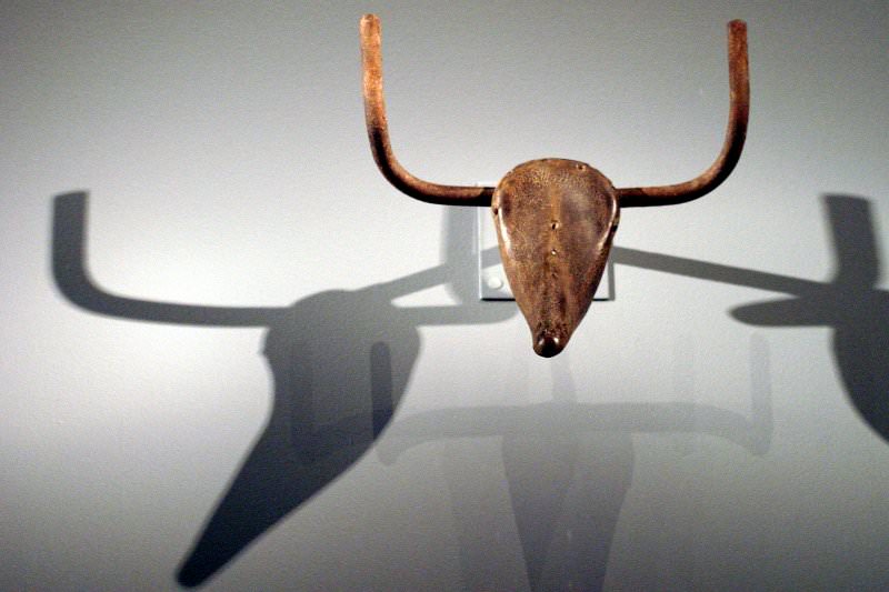 bull-head.jpg