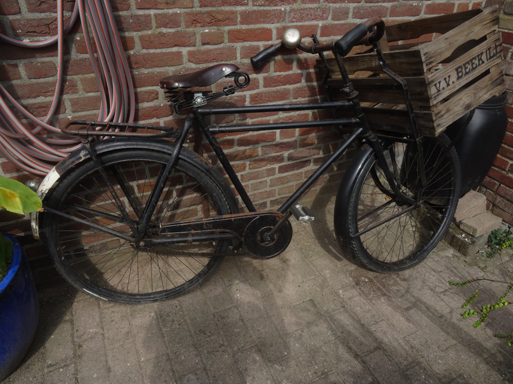 Gazelle 1510158 A.jpg