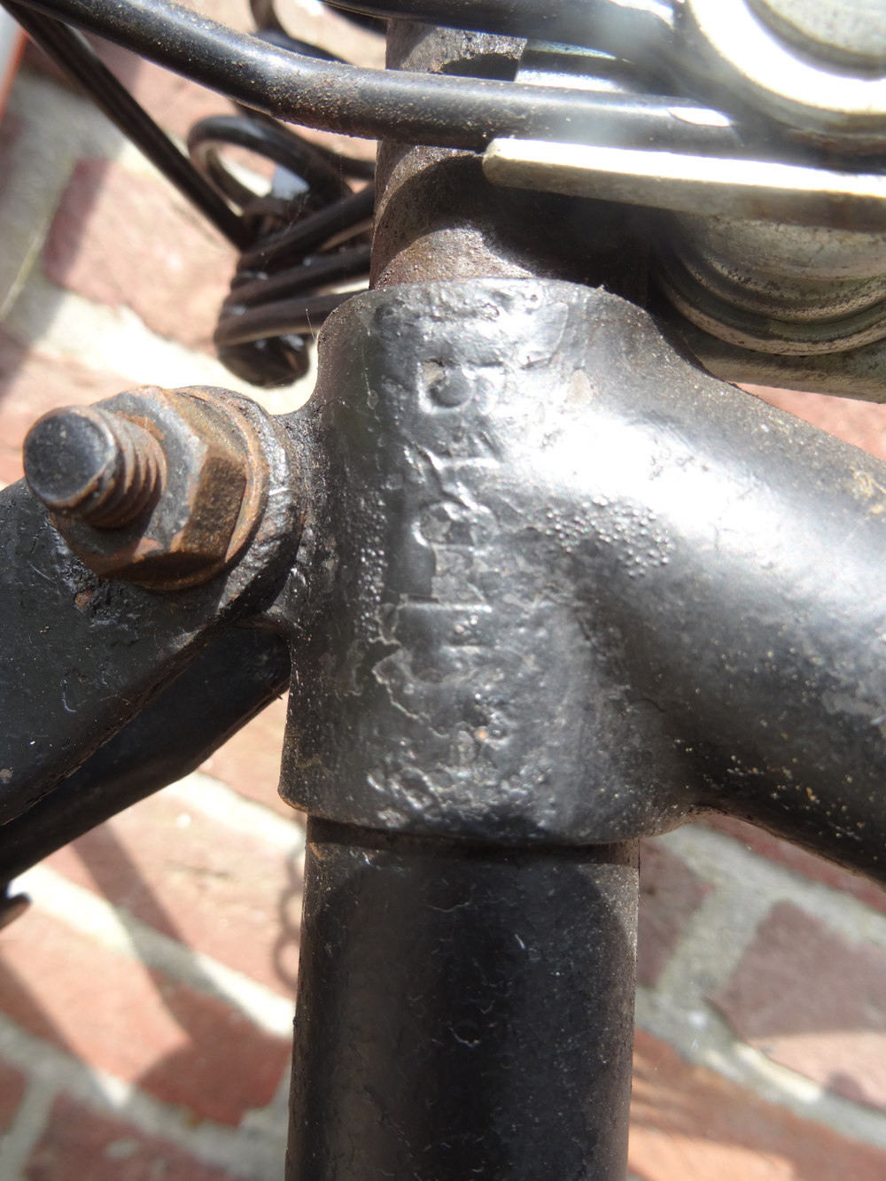 Gazelle 1510158 B.jpg