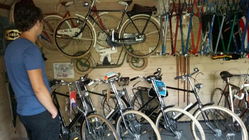 Gazelle Sport only showroom.jpg