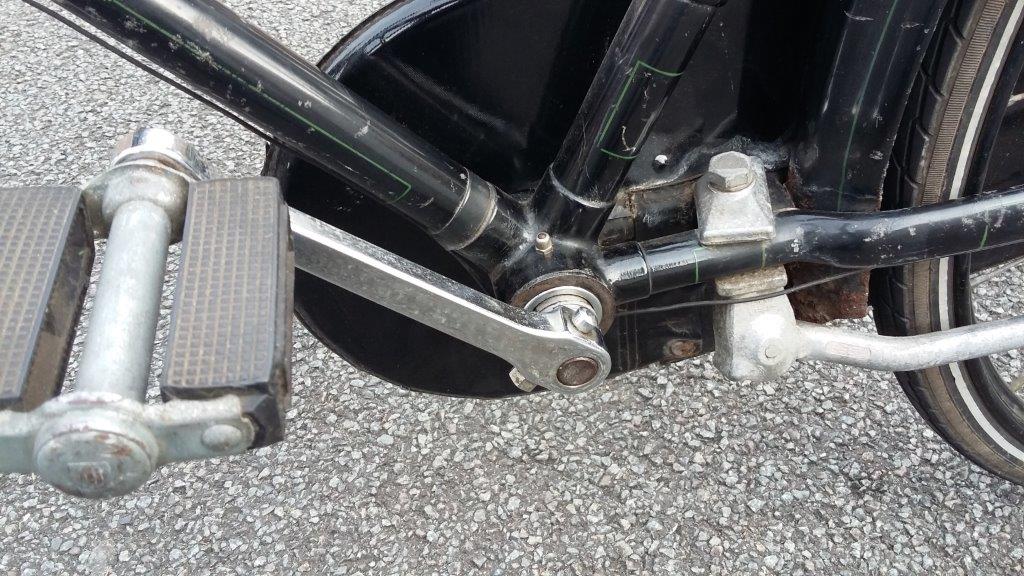 20160922 leg (6).jpg