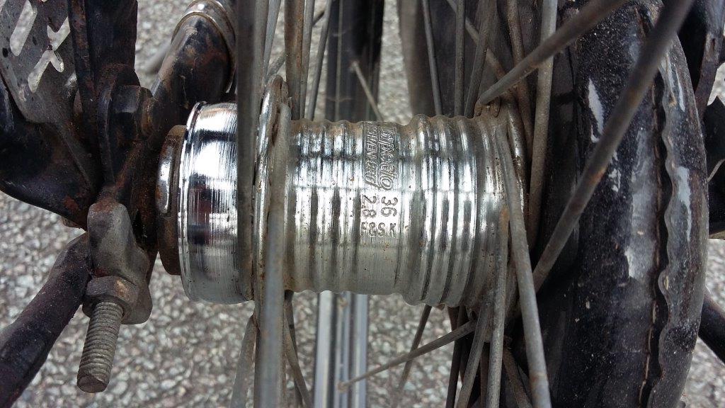 20160922 leg (11).jpg