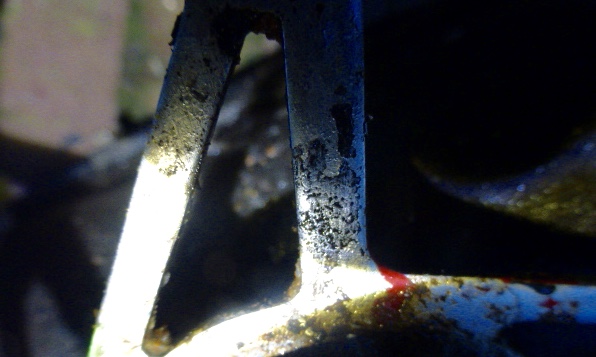 Williams? met een T?