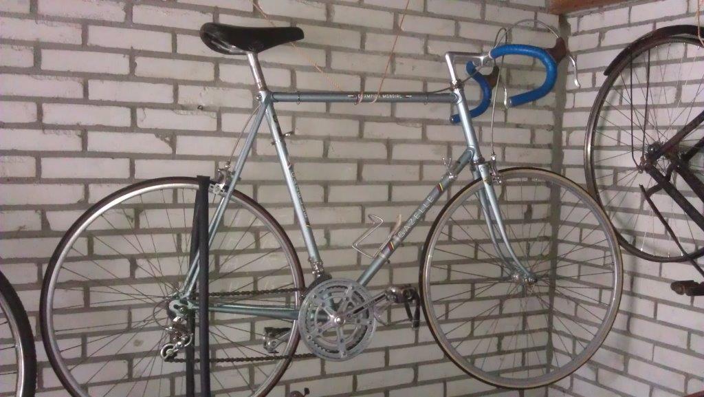 gewoon een plaatje van een van mijn Gazelles