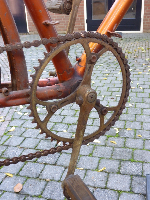 van Hauwaert 015 (480x640).jpg