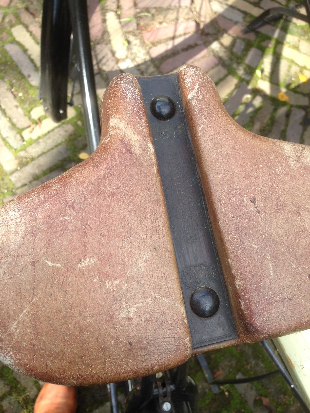 Fongers logo Hygia zadel.jpg