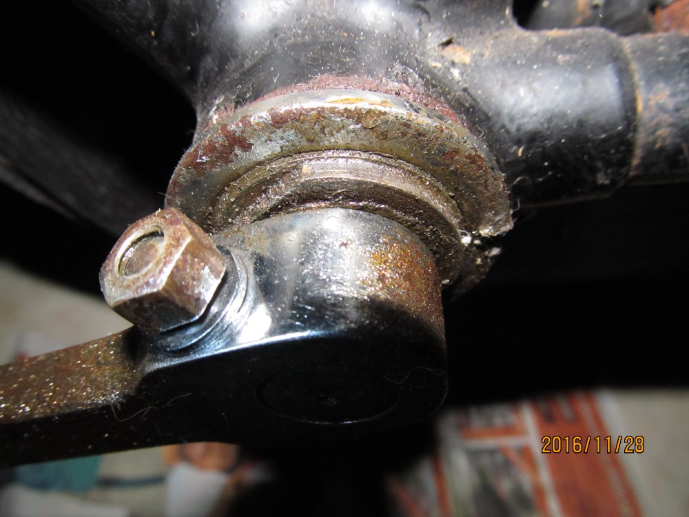 IMG_2755[1] (1000 x 750).jpg