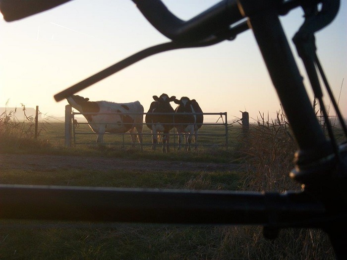 Aan belangstelling geen gebrek