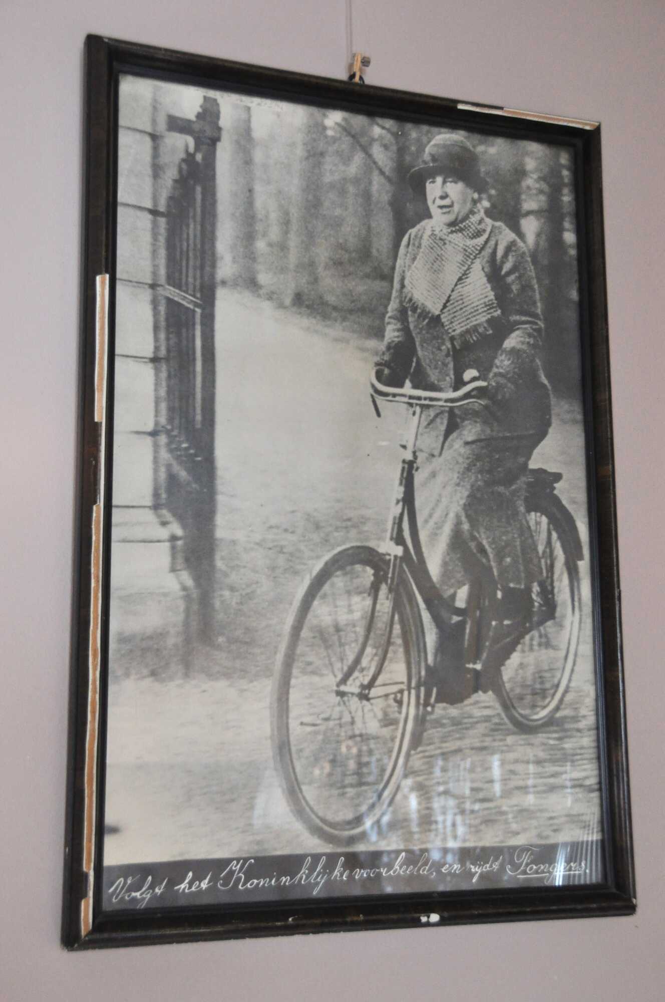 affiche Wilhelmina.JPG