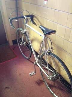 Oergezellige Gazelle