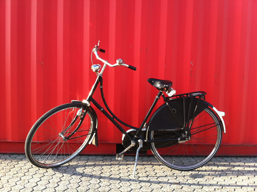 oergezellige-gazelle kleiner.jpg