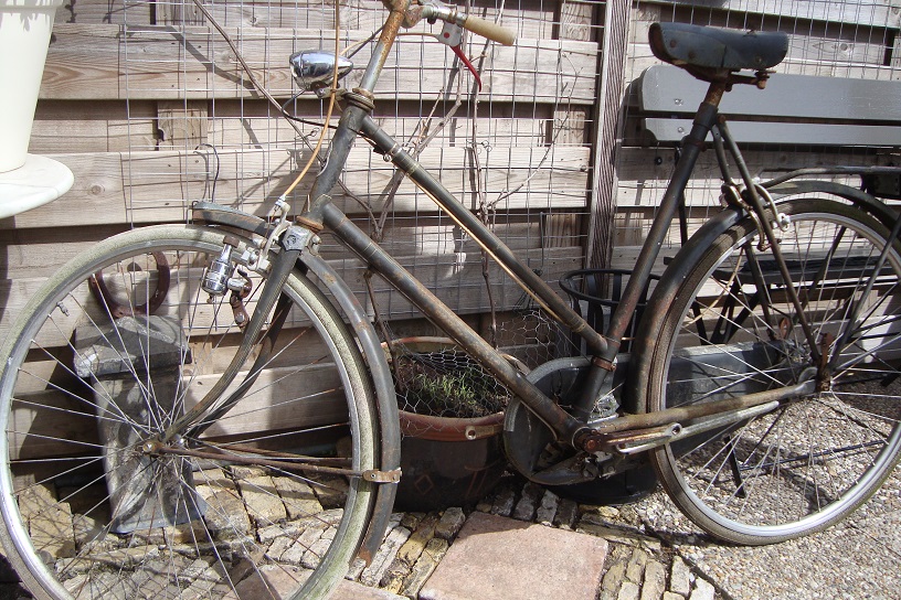 gazelle dames 1 002.jpg