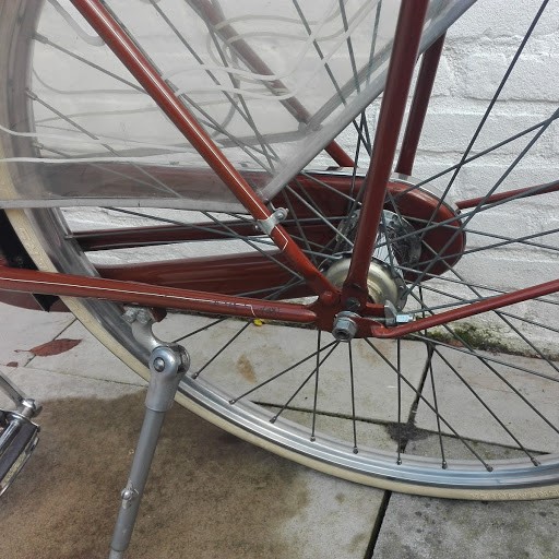 Florida achteras.jpg