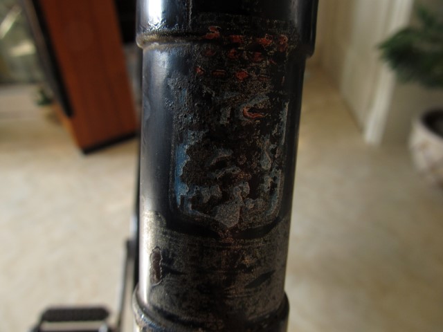 IMG_3515 (Small).JPG