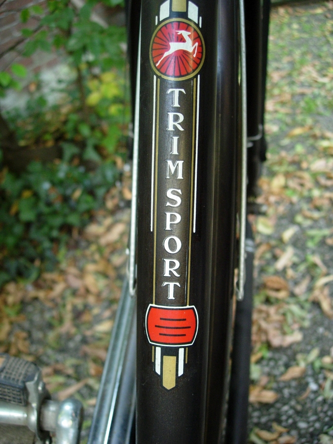 trimsport transfer.jpg