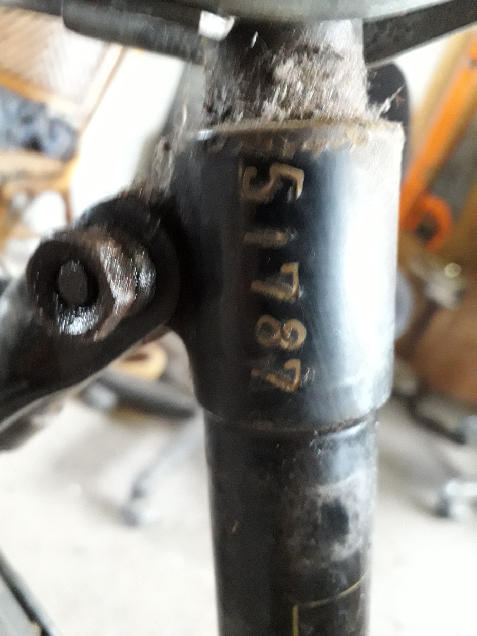 Philips amstel 5.jpg