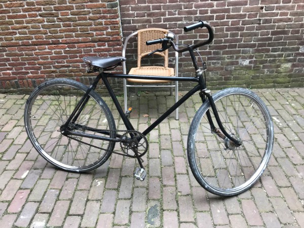 IMG_0087 (Medium).jpg