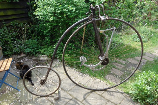 011 (800x533) (2).jpg