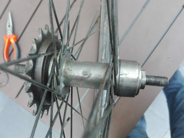 DZ achternaaf met Lucas-potje.jpg