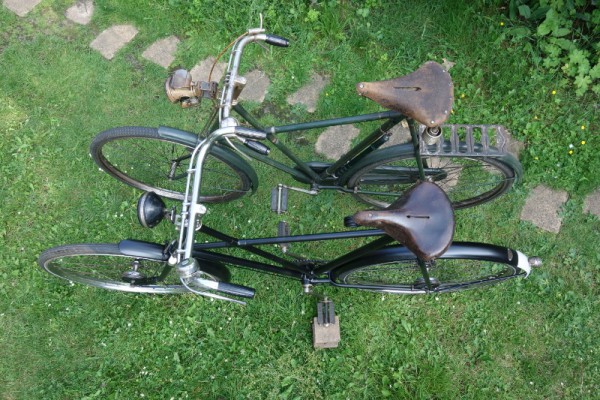 016 (800x533) (2).jpg