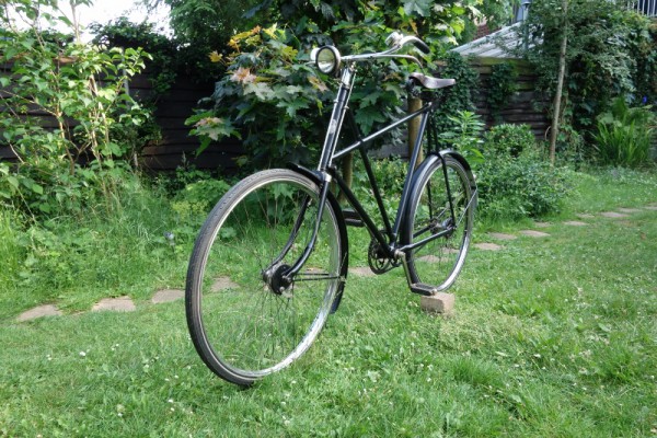 018 (800x533) (2).jpg